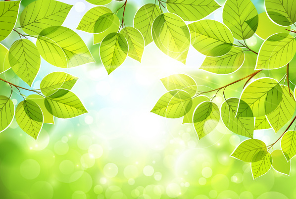 green-summer-leaves-free-vector.jpg